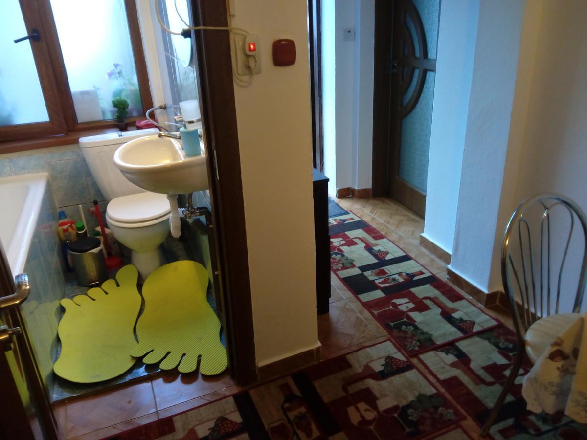 Casa Magda Apartment Timisoara Luaran gambar