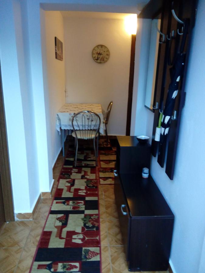 Casa Magda Apartment Timisoara Luaran gambar