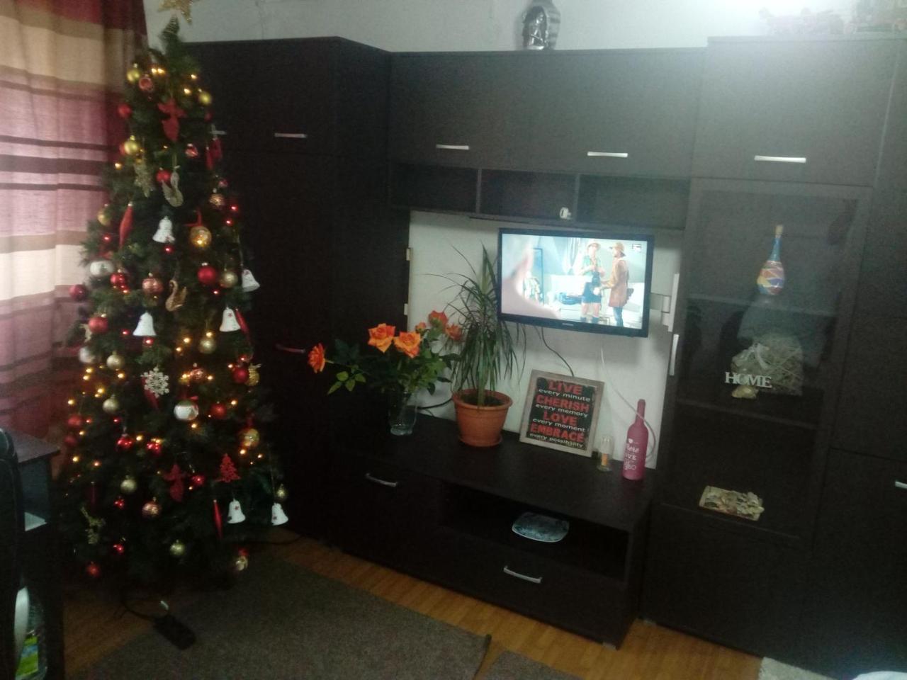 Casa Magda Apartment Timisoara Luaran gambar